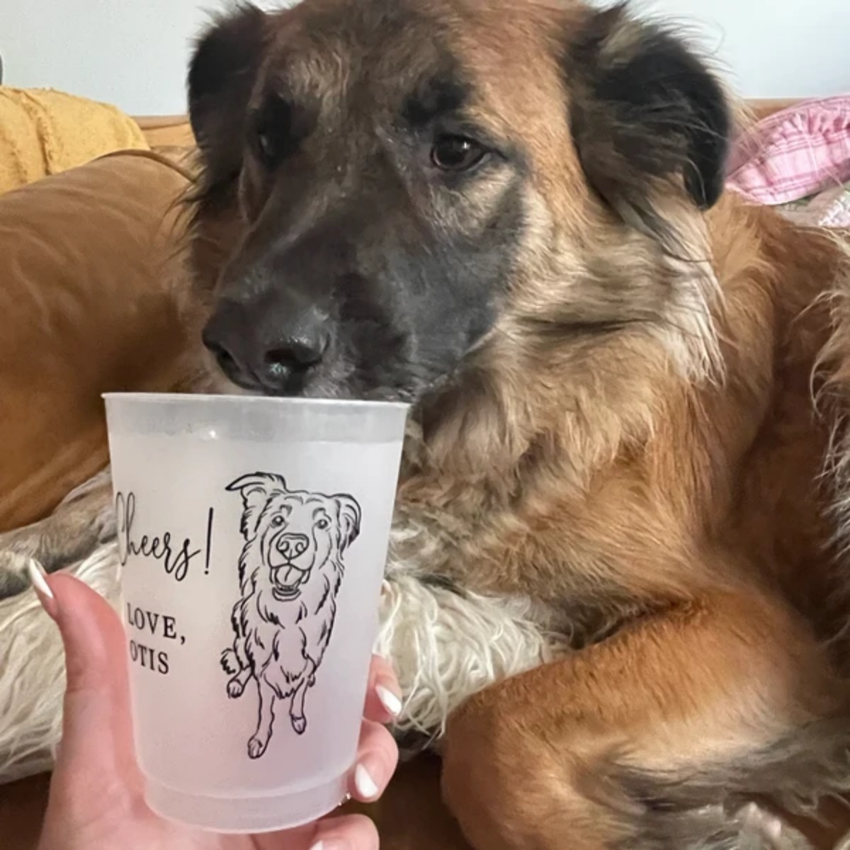 10/50 Personalized Frosted Pla - Plastic Cup 50Pcs 评论和价格